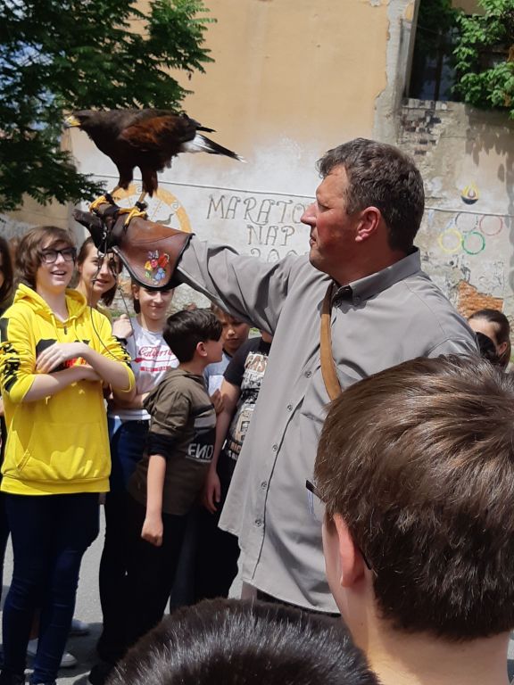 Madársuli az Ady-líceumban