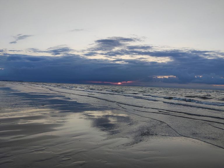 Zöld hét a 11. C és F osztályban